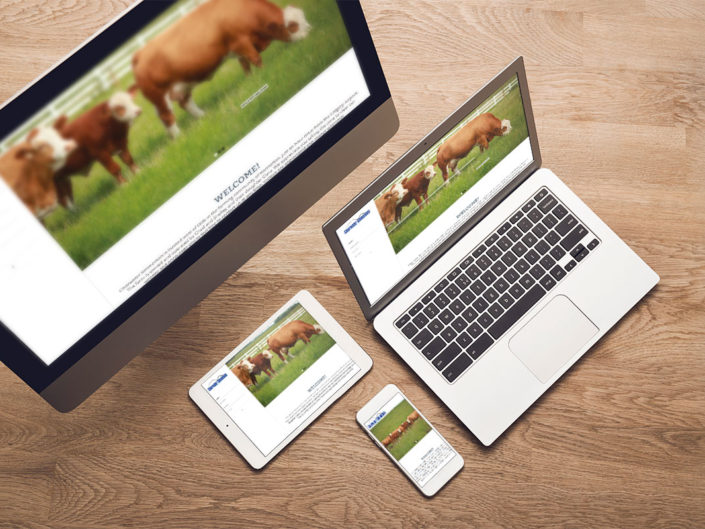 Purebred Cattle Website Design